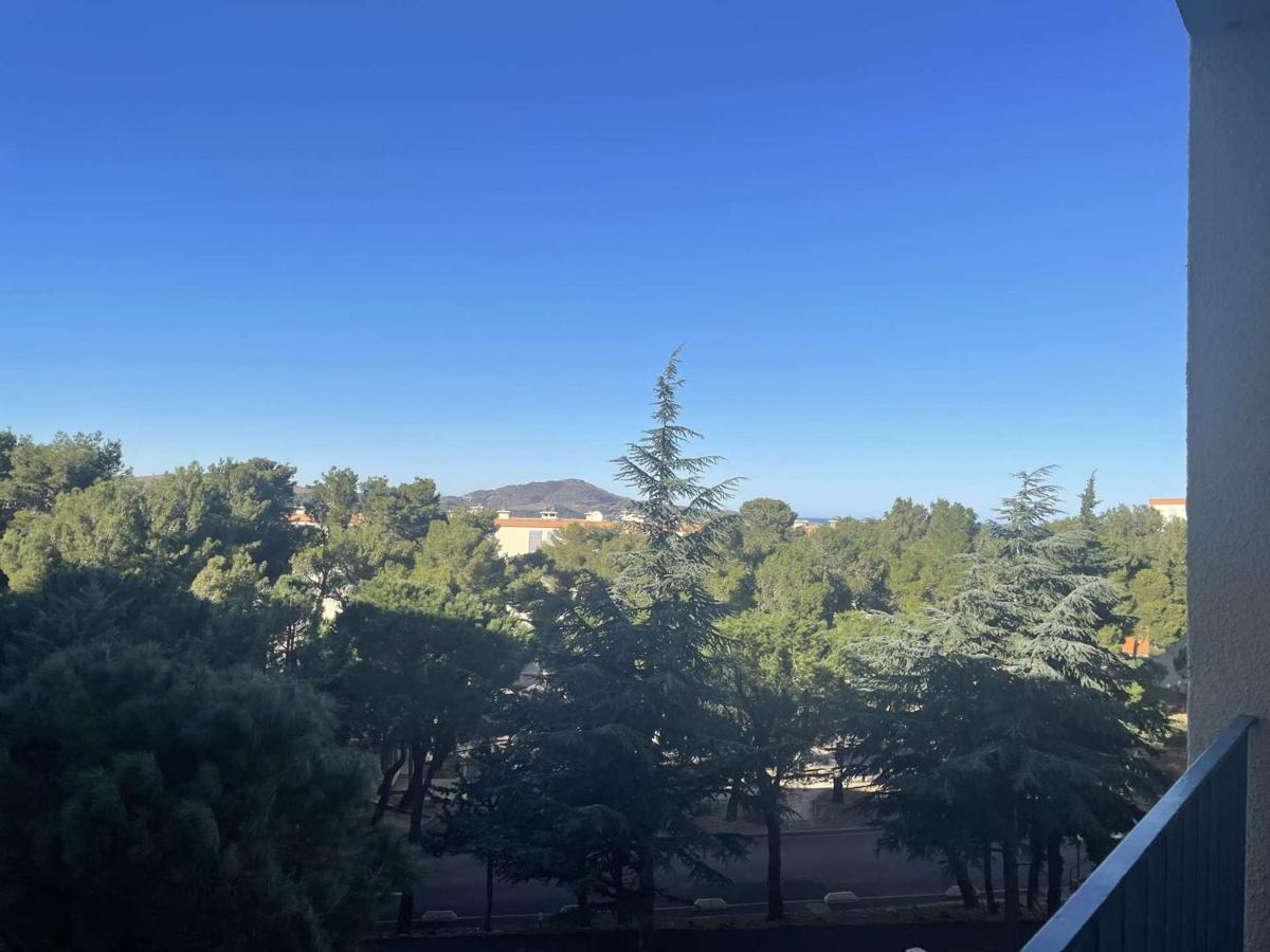 Appartement Renove Avec Clim, Parking Et Terrasse A 500M Du Port - Fr-1-225C-113 Banyuls-sur-Mer Extérieur photo