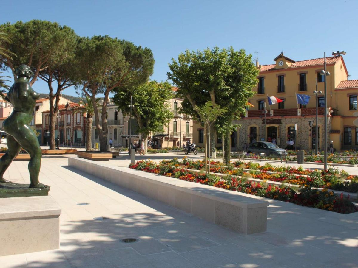 Appartement Renove Avec Clim, Parking Et Terrasse A 500M Du Port - Fr-1-225C-113 Banyuls-sur-Mer Extérieur photo